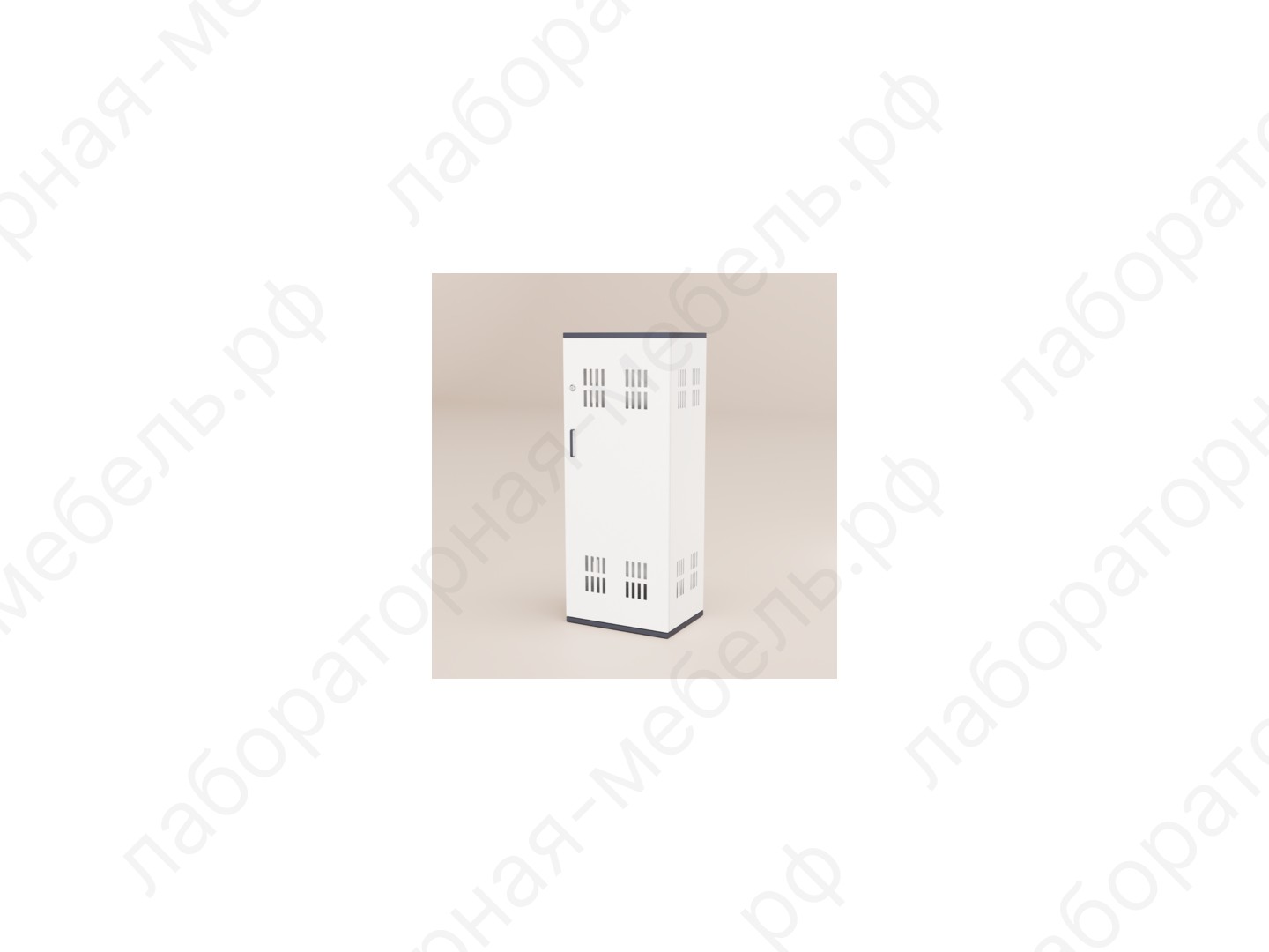 Шкафы для газовых баллонов - Шкафы для газовых и кислородных баллонов ШГ-450